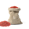 Annatto beans