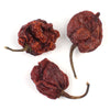 Carolina reaper chili pepper