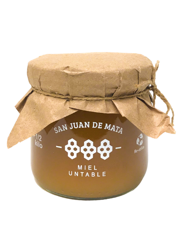 MIEL SAN JUAN DE MATA*500 G