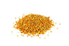 POLLEN GRAIN