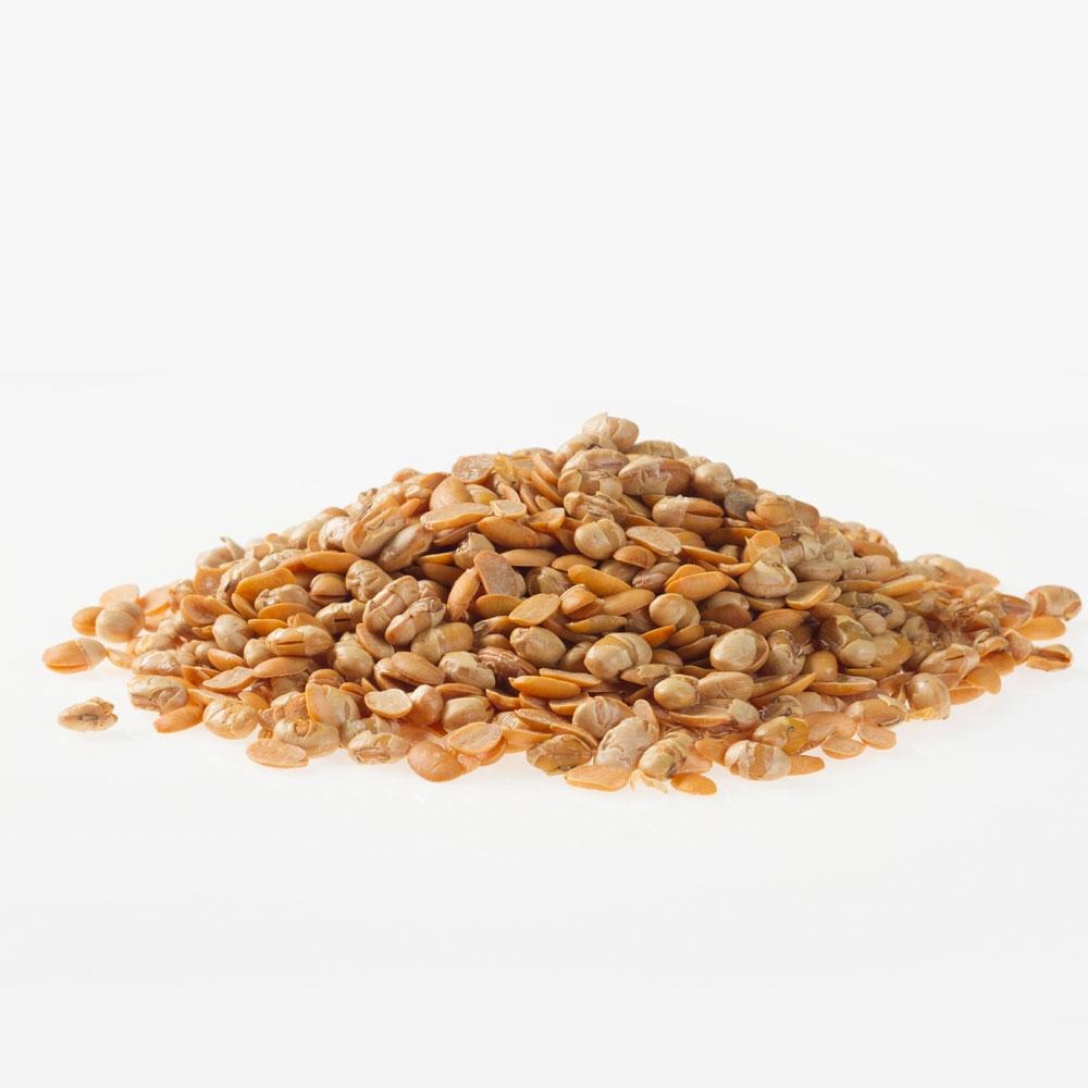 TOASTED SOYBEAN