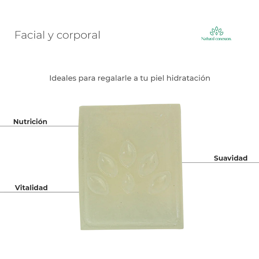 ECONATIVA  JABON ARTESANAL ALOE VERA* 100G
